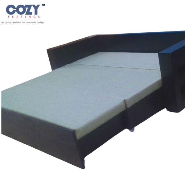 Tressa Teak Wood Convertible sleeper Sofa Cum Bed with Brown Wooden Frame 2 Seater -Sky Blue Mattress